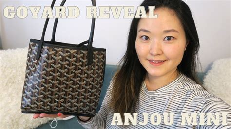 goyard anjou mini retail price|goyard anjou mini dupe.